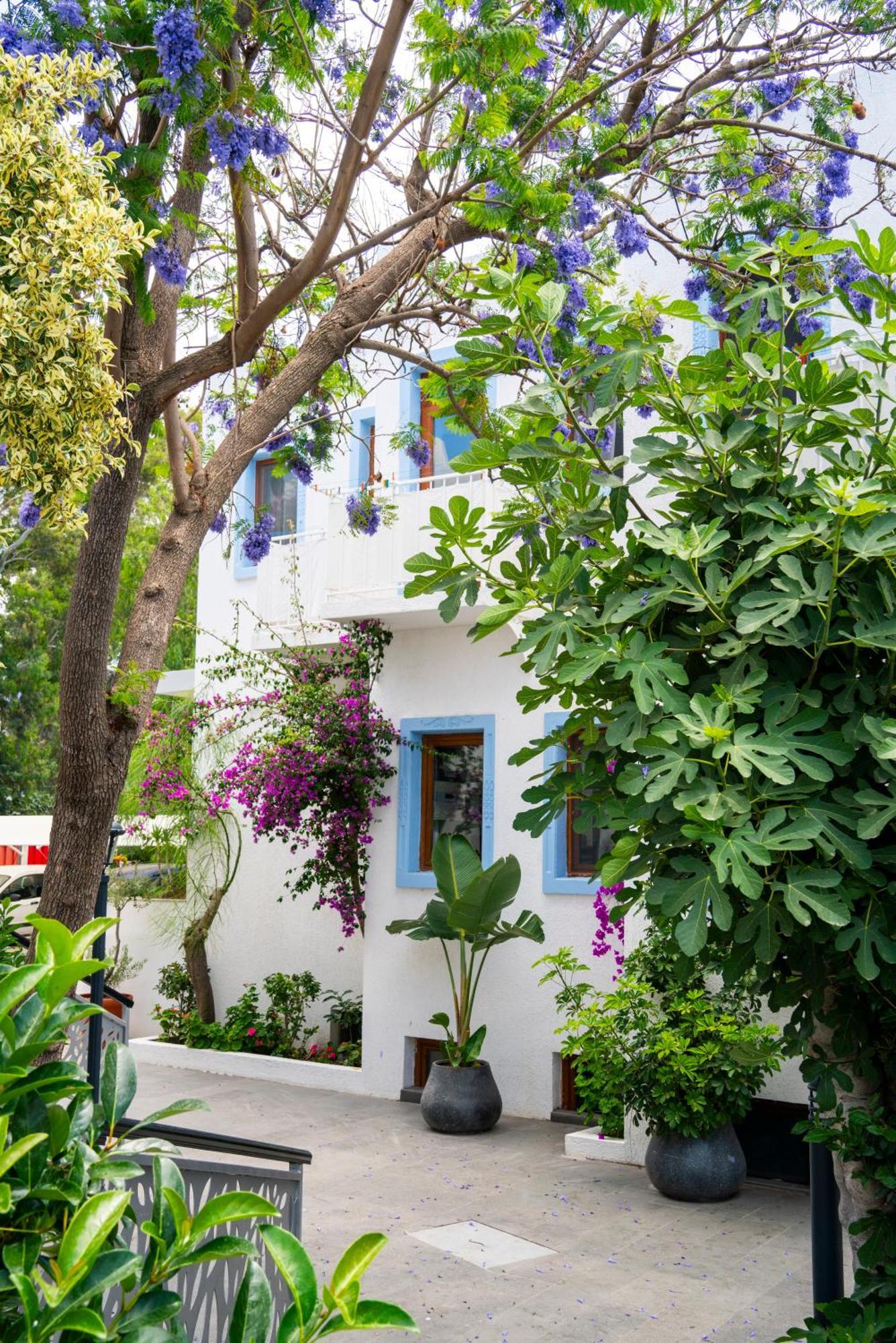 Manuela Hotel Bitez Exterior foto
